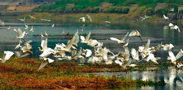 2021年水污染治理行业发展评述和2022年发展展望